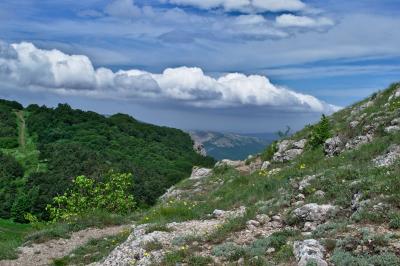 Прикрепленное изображение: DSC_0161.jpg